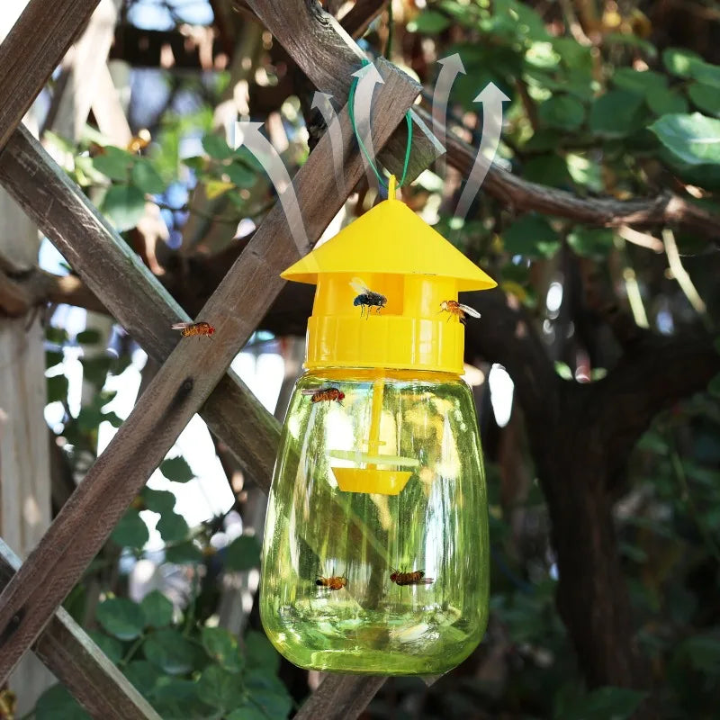 Fruit Fly/Wasp Trap