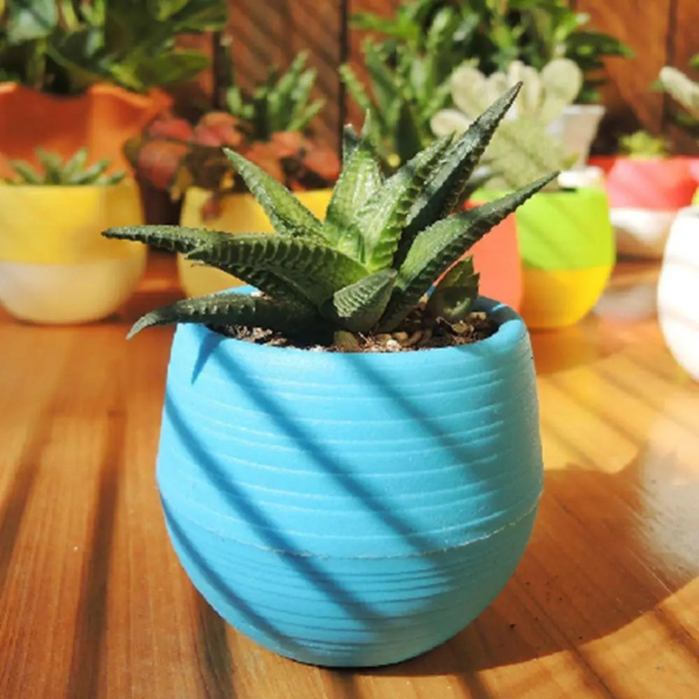 Succulent Mini Planter