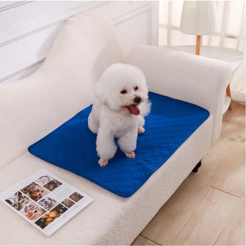 Reusable Pee Pad