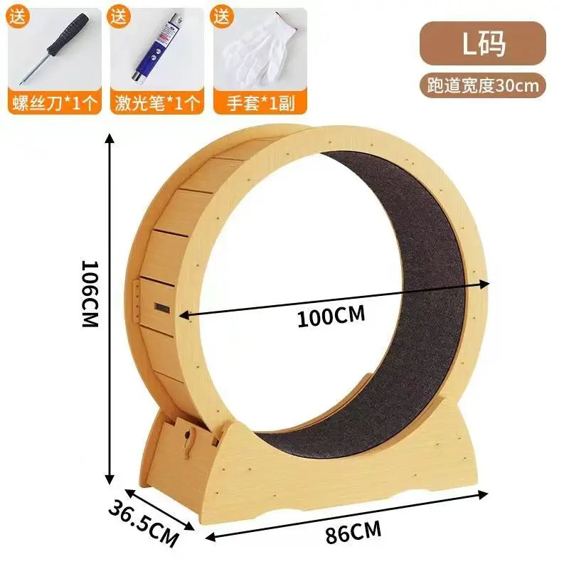Cat Running Wheel