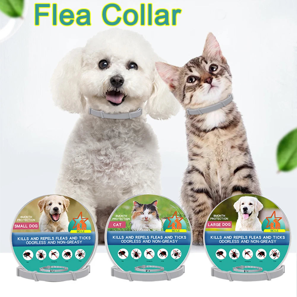 8 Month Flea & Tick Collar