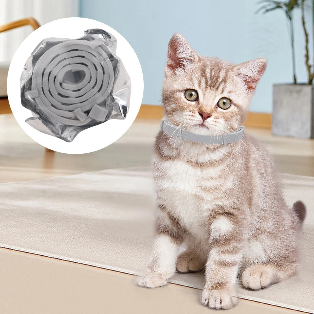 8 Month Flea & Tick Collar