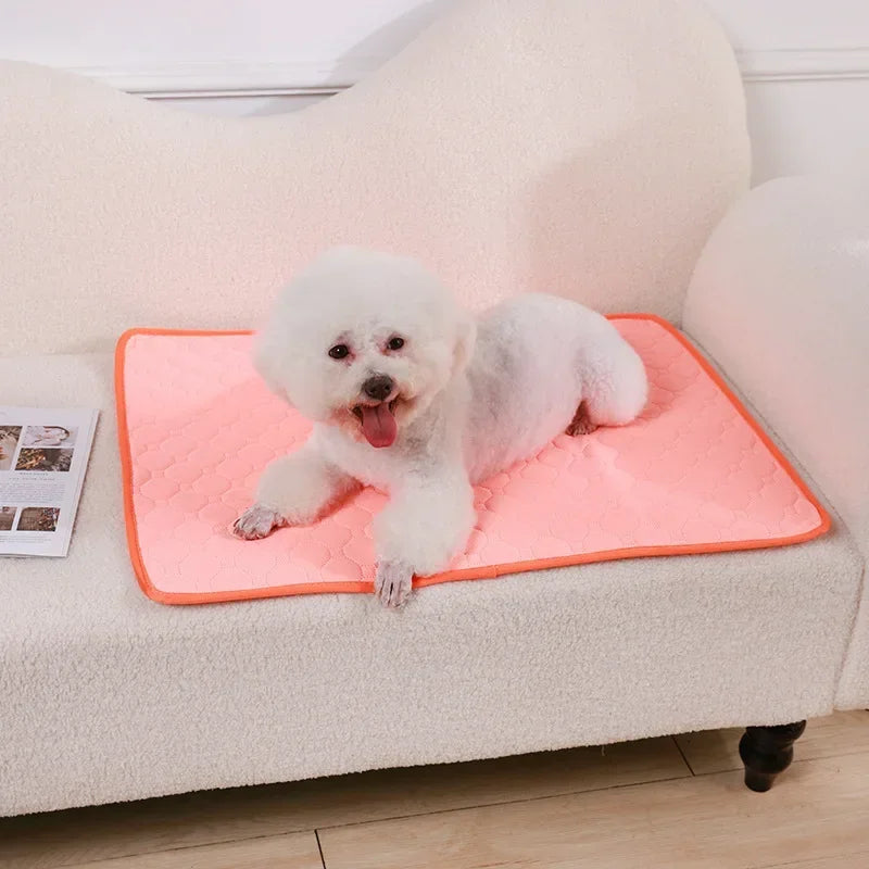 Reusable Pee Pad
