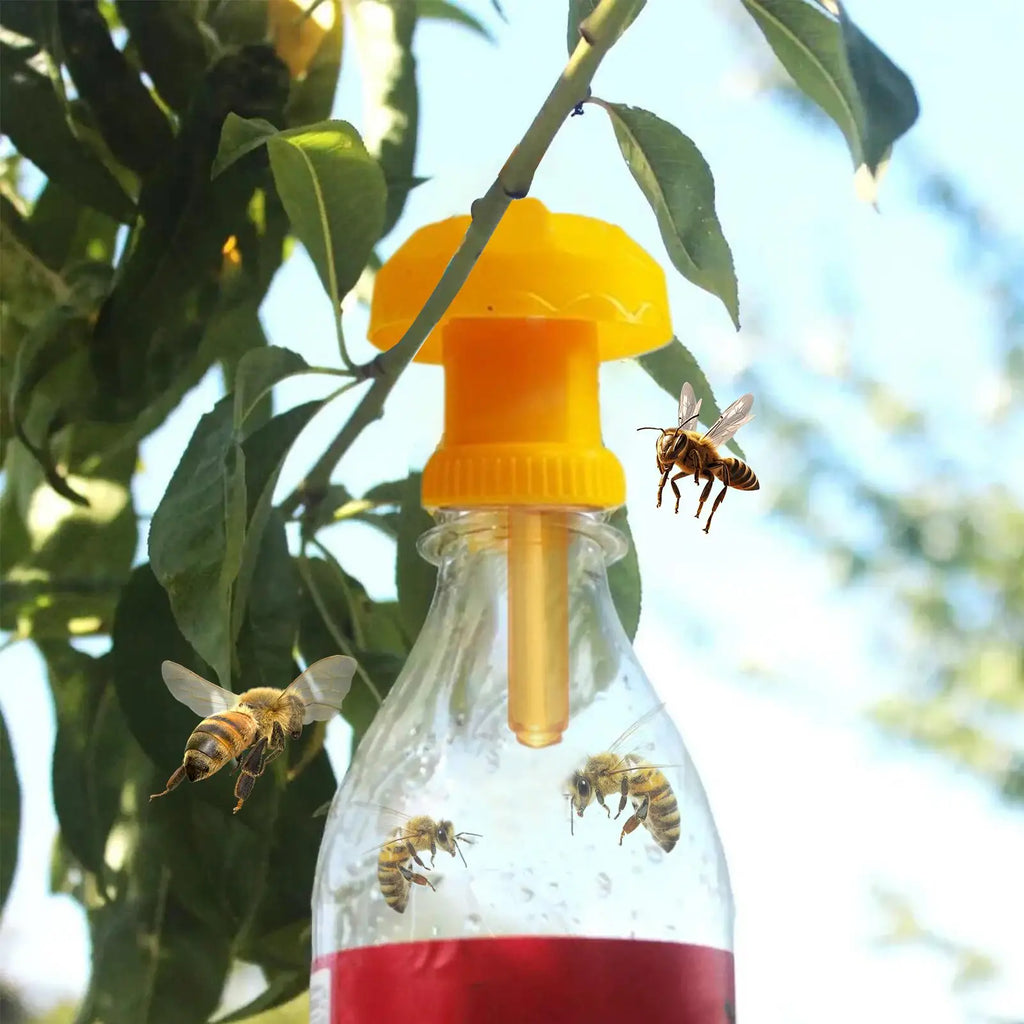 Fruit Fly Liquid Refill Bait