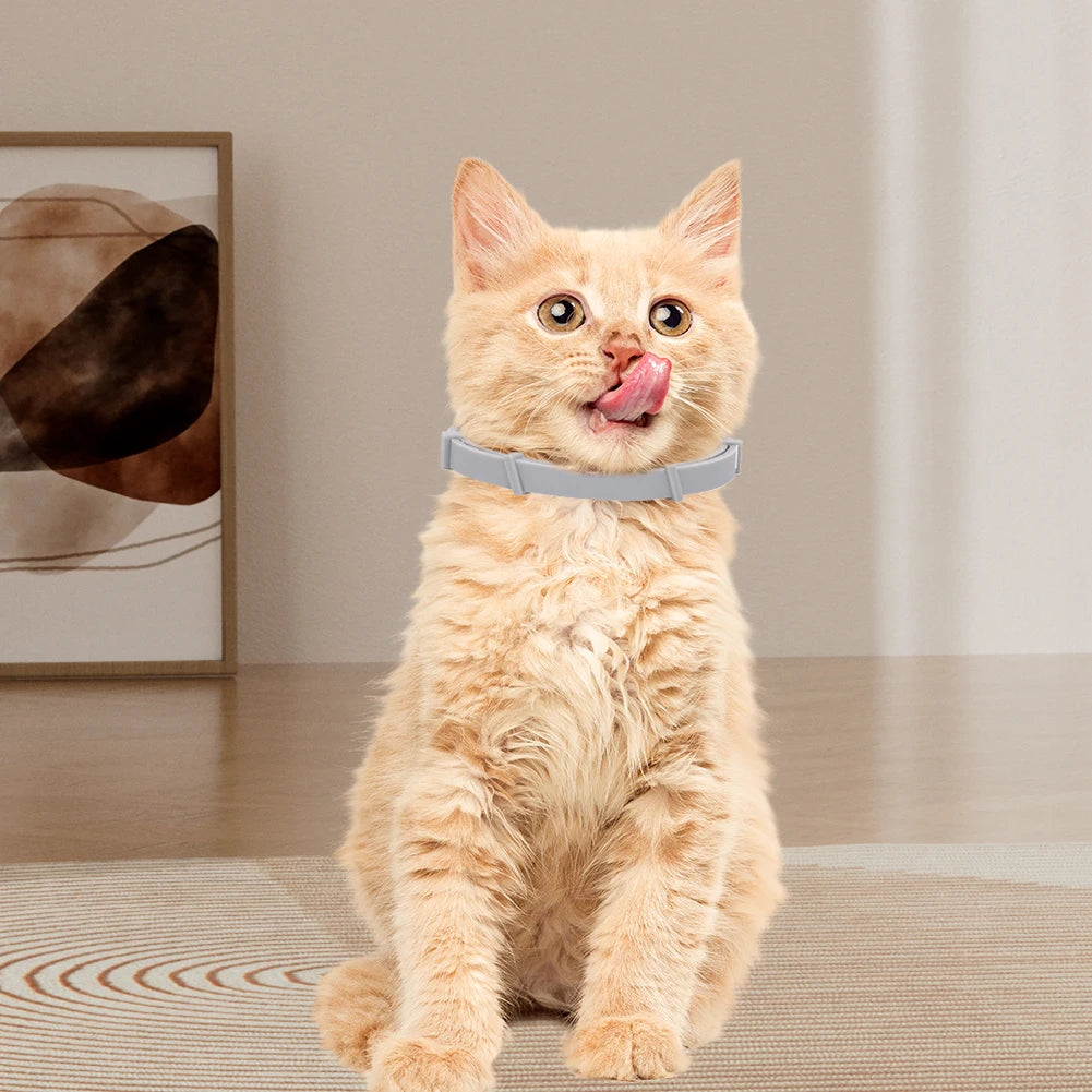 8 Month Flea & Tick Collar