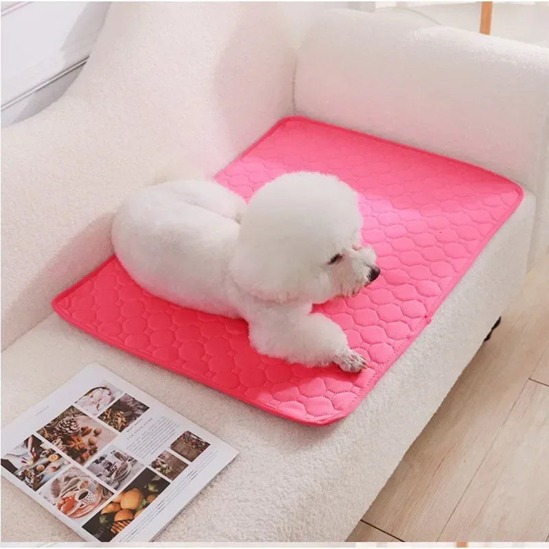Reusable Pee Pad