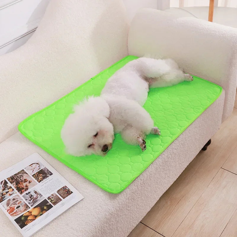 Reusable Pee Pad
