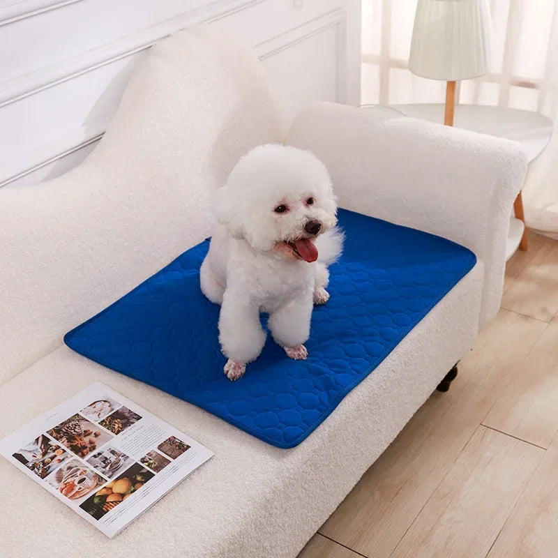 Reusable Pee Pad