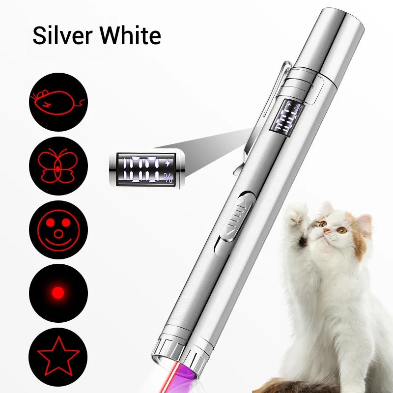 Rechargeable Cat Laser Toy