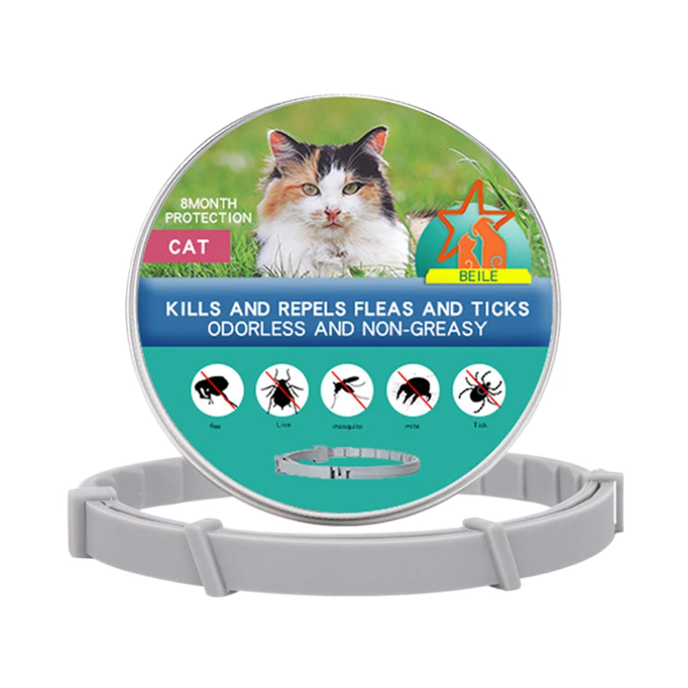 8 Month Flea & Tick Collar