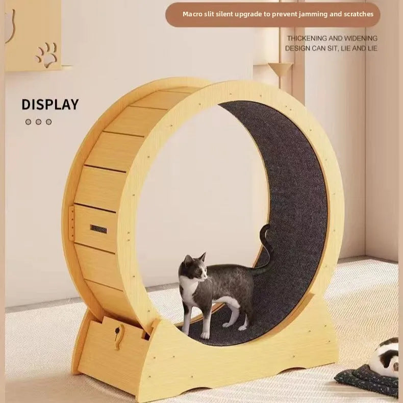 Cat Running Wheel