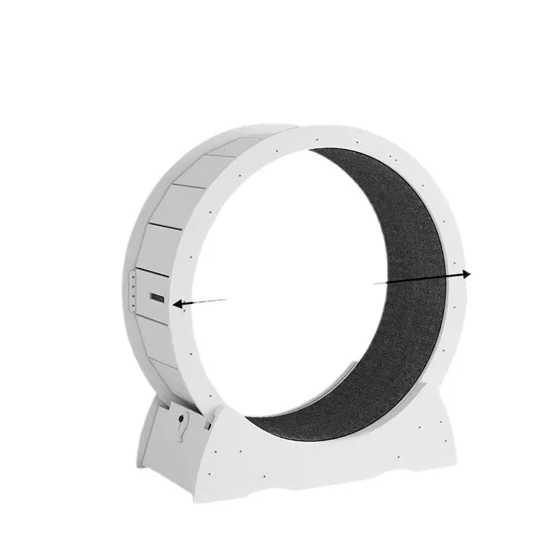 Cat Running Wheel