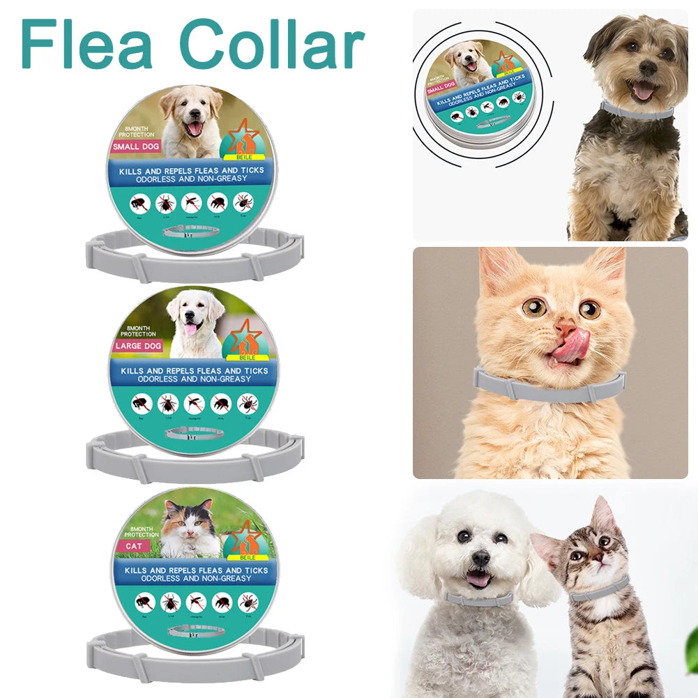 8 Month Flea & Tick Collar