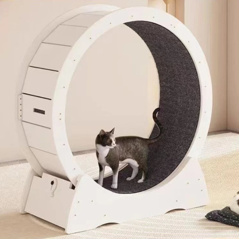 Cat Running Wheel