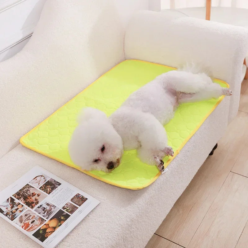 Reusable Pee Pad