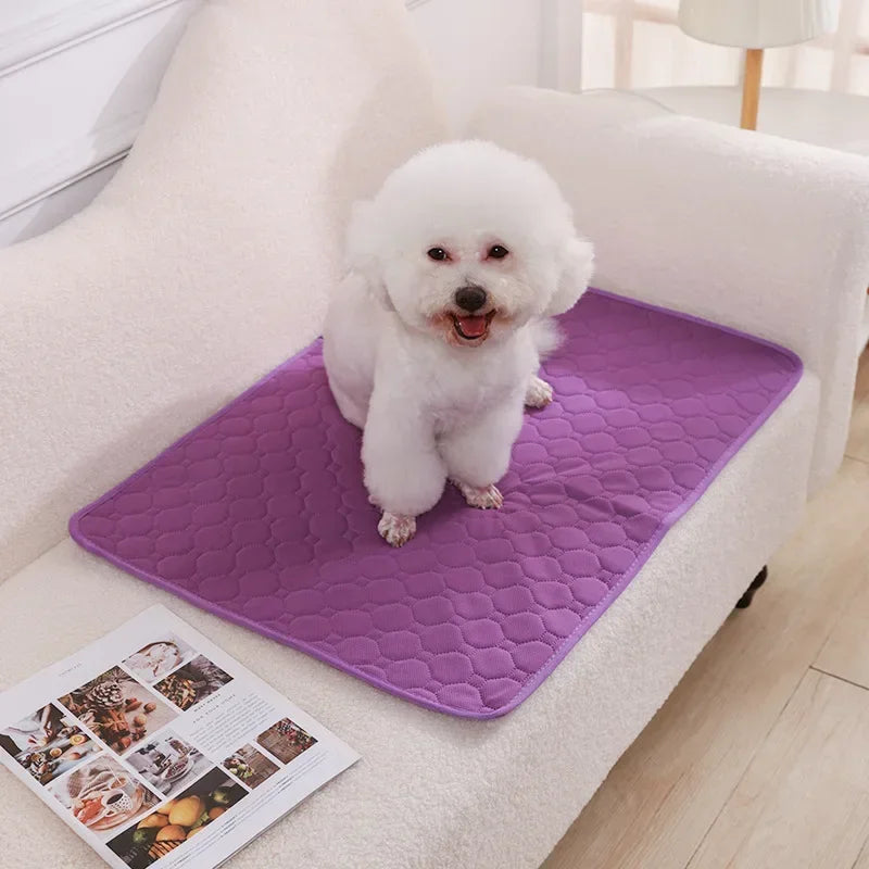 Reusable Pee Pad